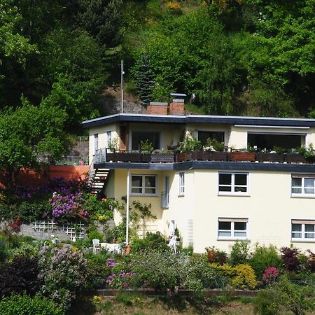 Ferienwohnung Haus Am Sommerberg Ludwigsstadt Bagian luar foto